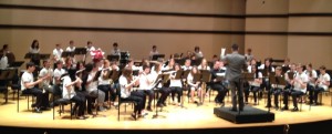 edgewood ravinia concert 2014